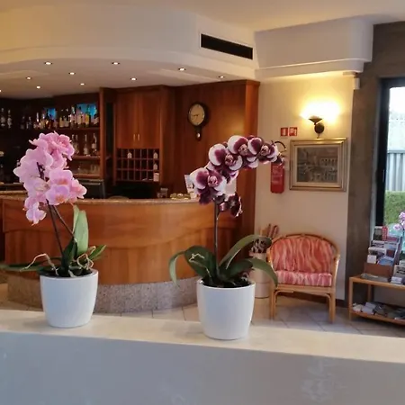 酒店 艾尔伯格阿卡奇多雷酒店